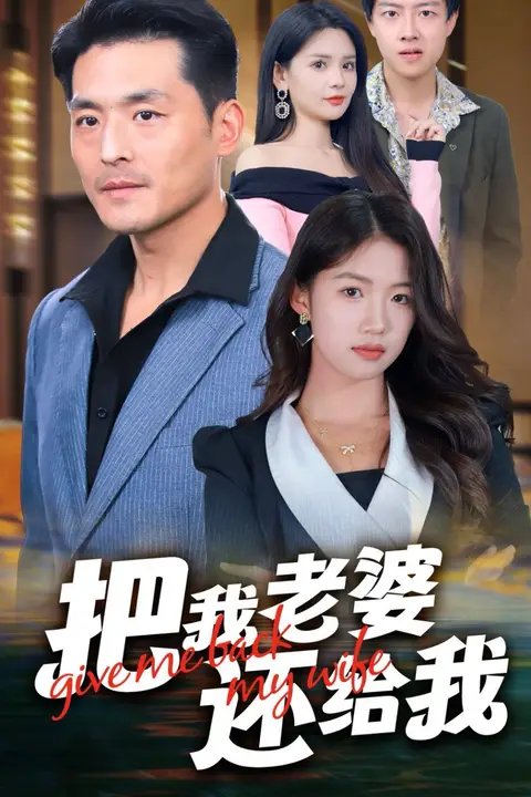 《把我老婆还给我》封面