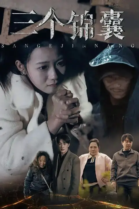 《三个锦囊》封面