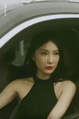 《特工凤凰（绝色特工）》封面