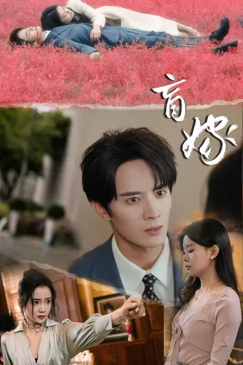 《盲嫁》封面
