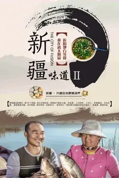 《新疆味道2》封面