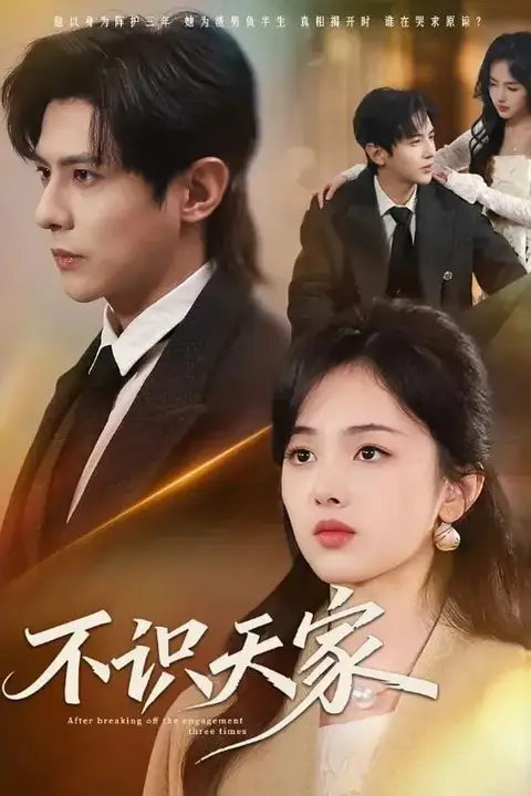 《不识天家》封面