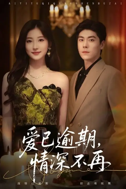 《爱已逾期,情深不再》封面
