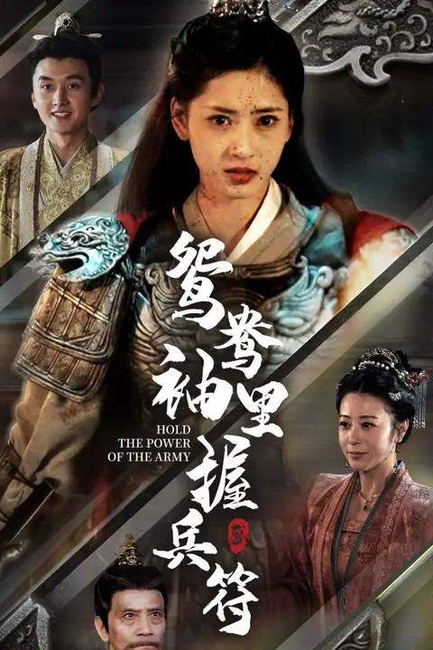 《鸳鸯袖里握兵符》封面