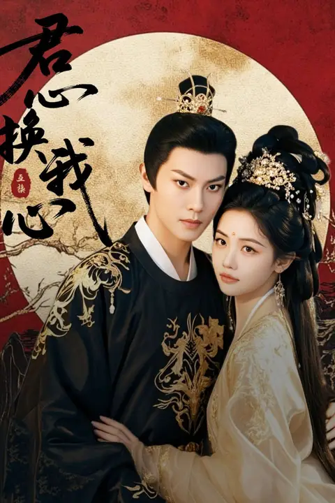 《君心换我心(宫阙有时晴)》封面