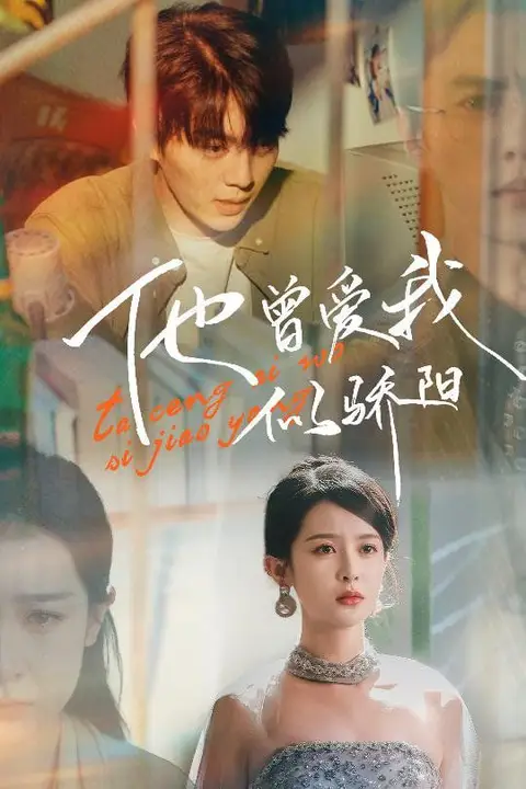 《他曾爱我似骄阳》封面