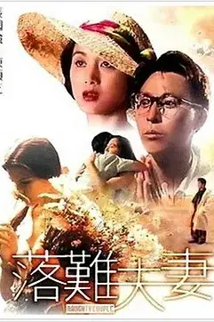 《落难夫妻》封面