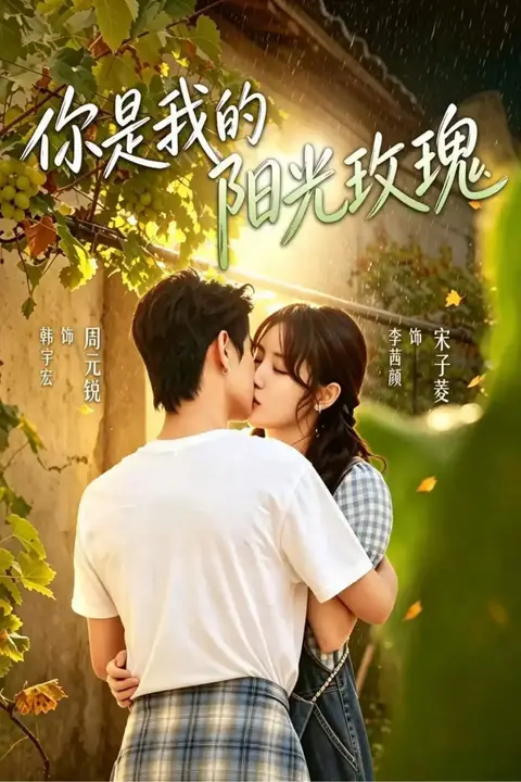 《你是我的阳光玫瑰》封面
