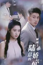 《缠她上瘾陆总的娇气包》封面