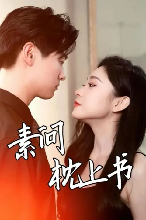 《素问枕上书》封面