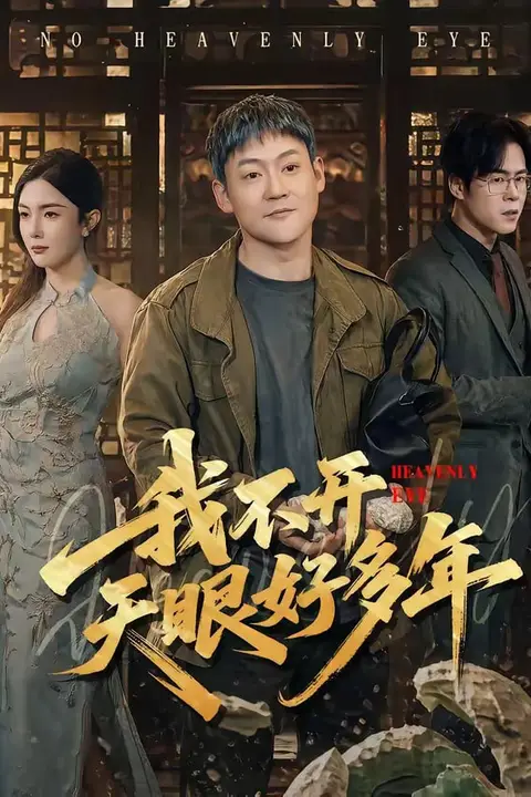 《我不开天眼好多年》封面