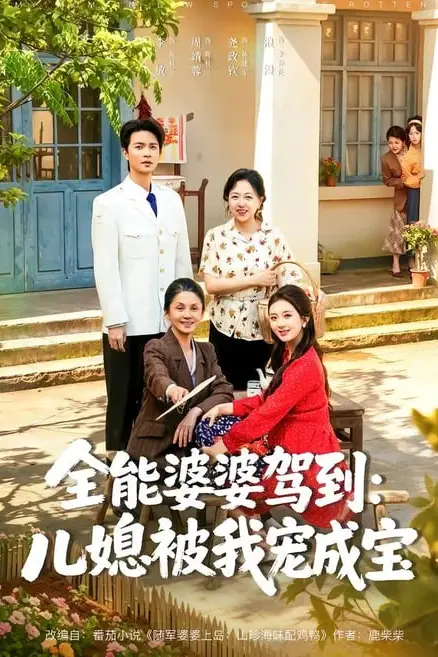 《全能婆婆驾到：儿媳被我宠成宝》封面