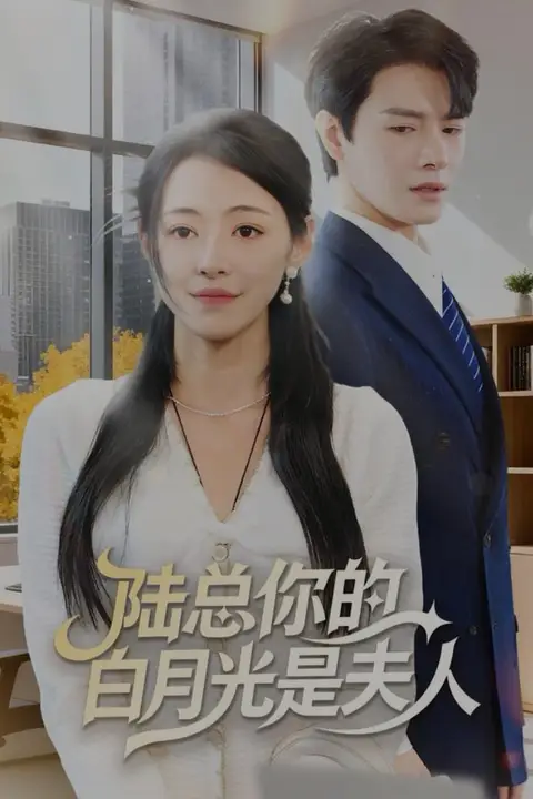 《陆总你的白月光是夫人》封面