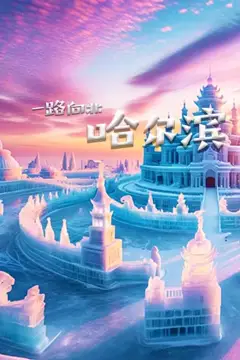 《一路向北哈尔滨》封面