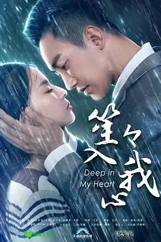 《笙笙入我心》封面
