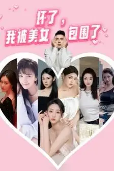 《坏了，我被美女包围了》封面