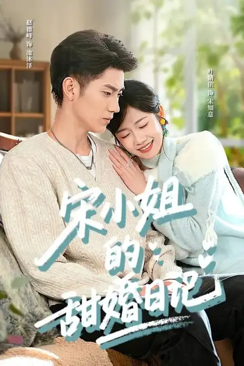 《宋小姐的甜婚日记》封面