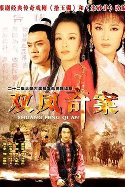《双凤奇案》封面