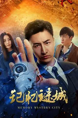 《记忆谜城》封面