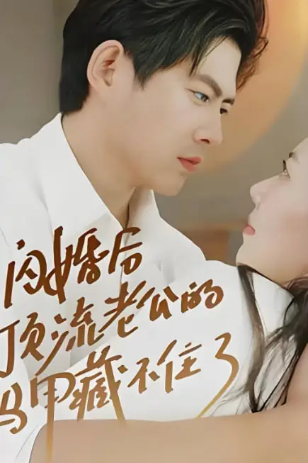《闪婚后顶流老公的马甲藏不住了》封面