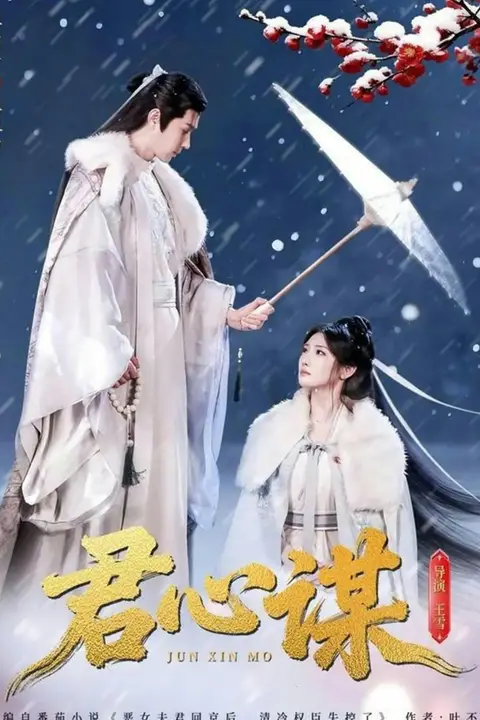 《君心谋》封面