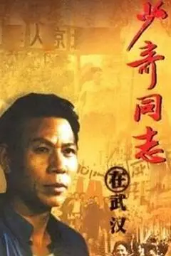 《少奇同志在武汉》封面