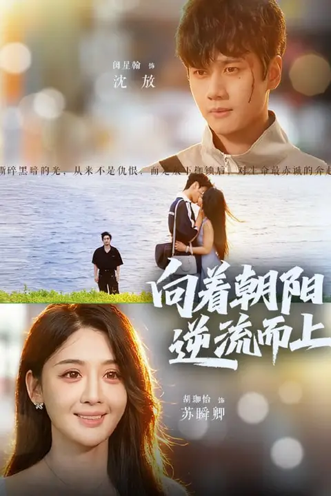 《向着朝阳逆流而上》封面