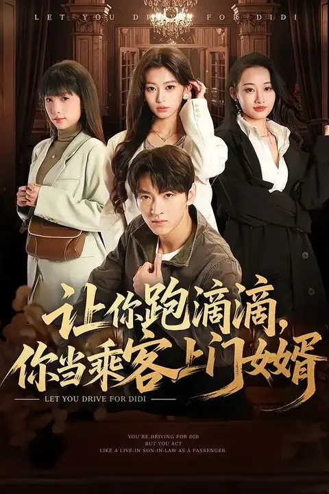 《让你跑滴滴,你当乘客上门女婿》封面