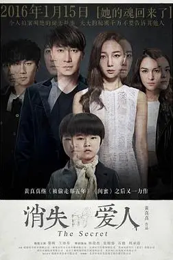 《消失爱人》封面