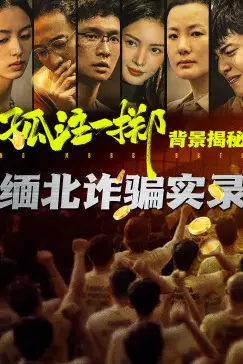 《孤注一掷真实背景揭秘》封面