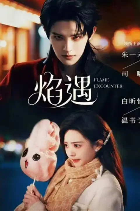 《焰遇》封面