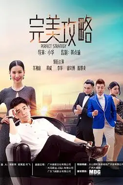《完美攻略》封面