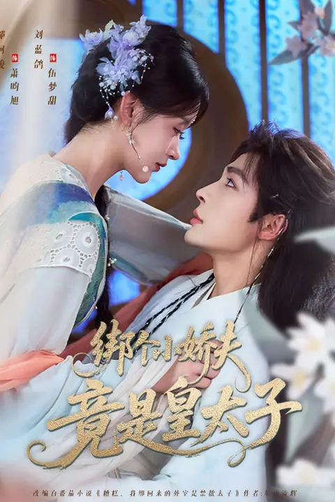 《绑个小娇夫竟是皇太子》封面