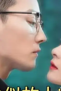 《恰似故人归》封面