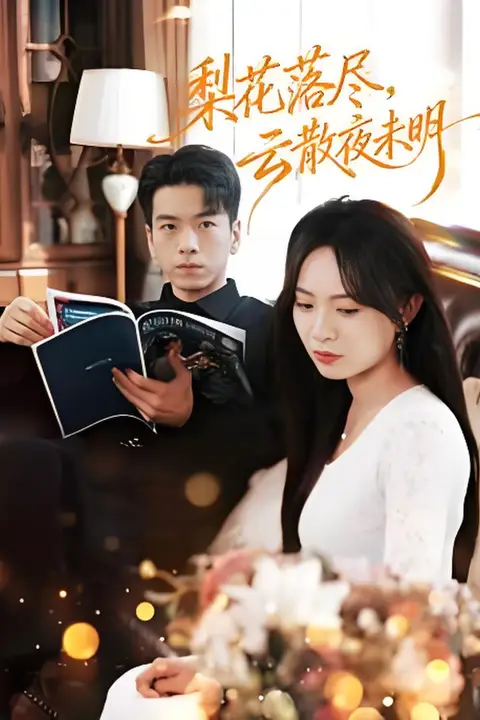 《梨花落尽，云散夜未明》封面