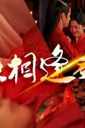 《纵使相逢应不识》封面