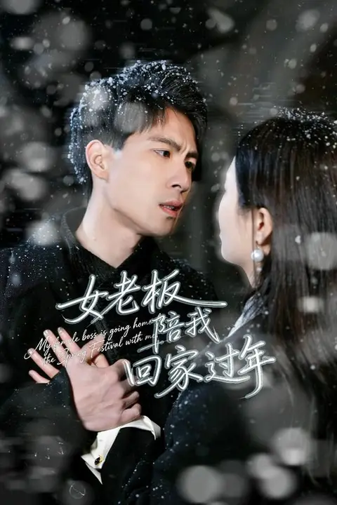《女老板陪我回家过年》封面