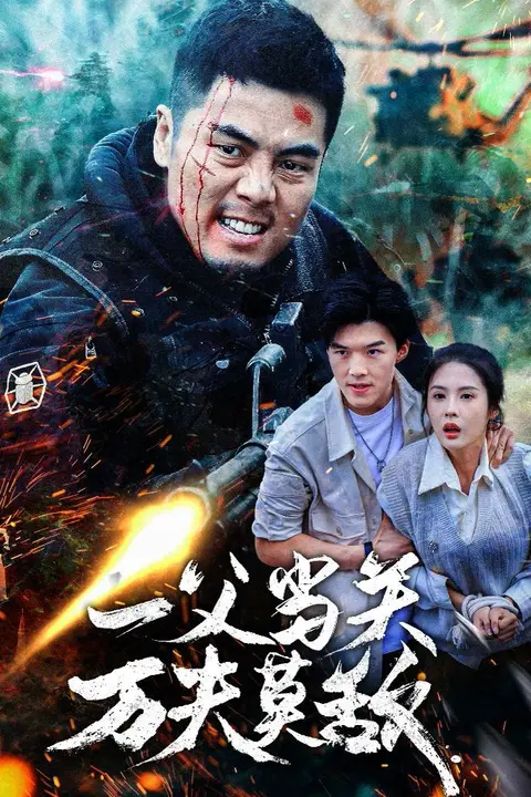 《一父当关万夫莫敌》封面