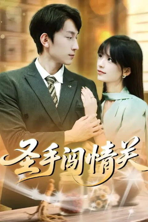 《圣手闯情关》封面