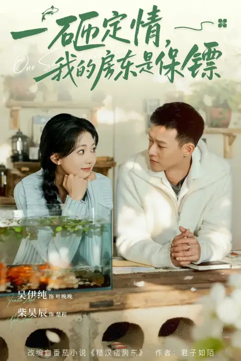 《一砸定情,我的房东是保镖》封面