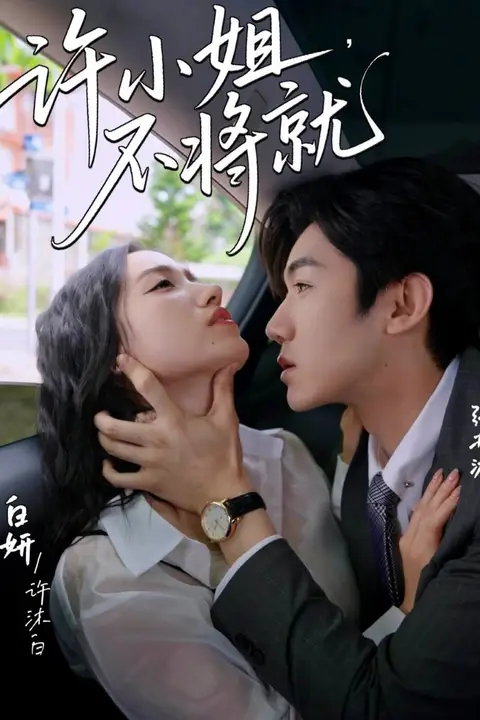 《许小姐不将就》封面