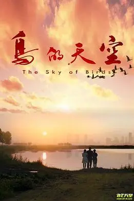 《鸟的天空》封面
