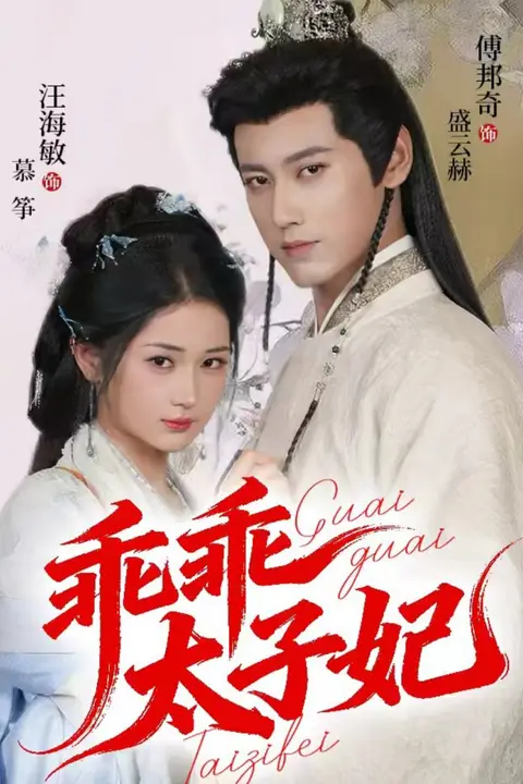 《乖乖太子妃》封面
