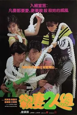 《杀妻2人组》封面