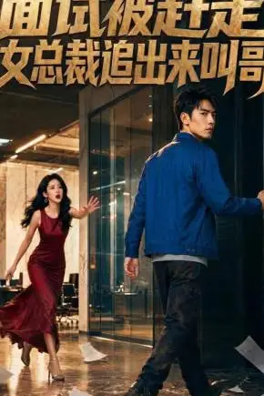 《面试被赶走女总裁追出来叫哥》封面