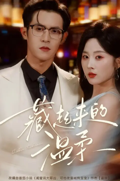 《藏起来的温柔》封面