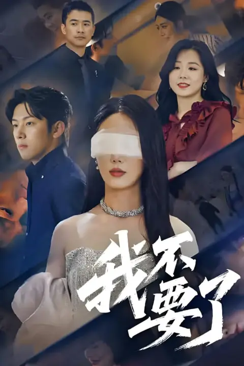 《我不要了》封面