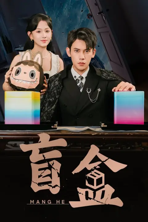 《盲盒》封面