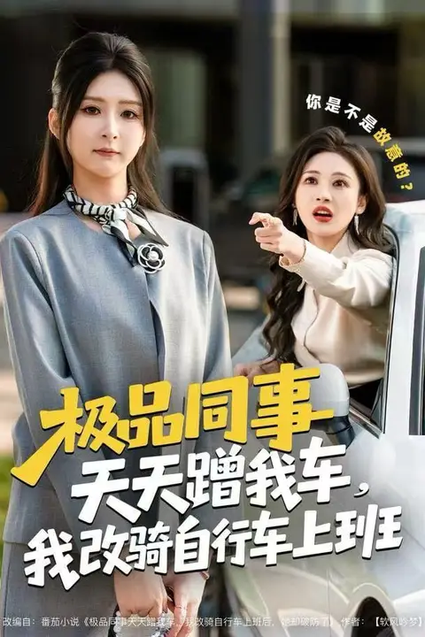 《极品同事天天蹭我车，我改骑自行车上班》封面