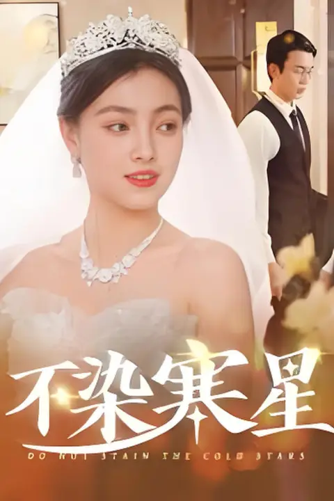 《不染寒星》封面